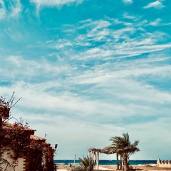 Moamen Mostafa