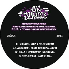 UK JUNGLE RECORDS