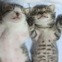 @тревожность