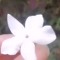 HendElshaf3y HendElshaf3y