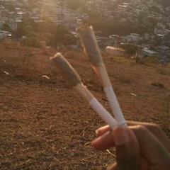 neguim do trevo🍀