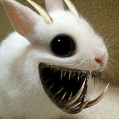 Denico
