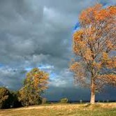 Windy sky