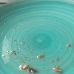 Jaxx $tone's recordings