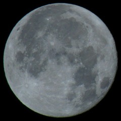 alaskag19