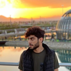 Mohammad Hossein