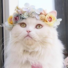 Katherine