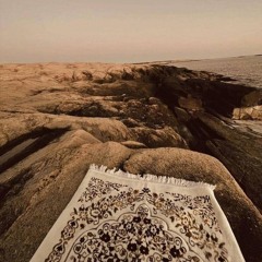 سارّة عبدرب النبيّ.