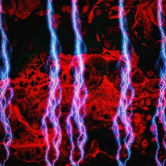 ssss