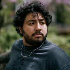 WYNN | David Nguyen