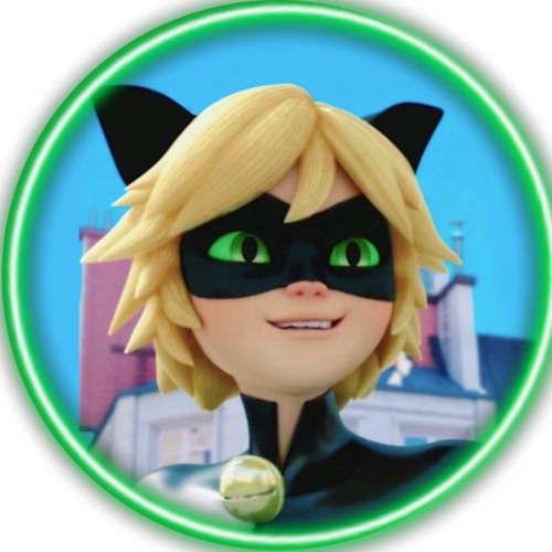 cat noir  😼 😺’s avatar