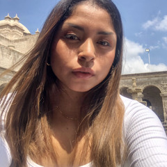 Ana Sofia Santiago