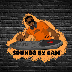 SoundsbyCam