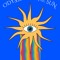 Odyssey Of The Sun