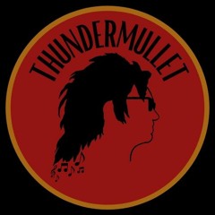 ThunderMulletMusic