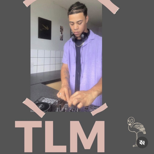TLM-Music’s avatar