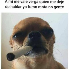 tiven