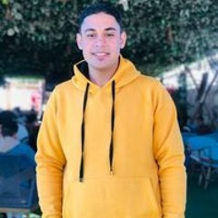 Ibrahim Gamal Abo Areef