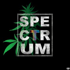 specTrum DNB