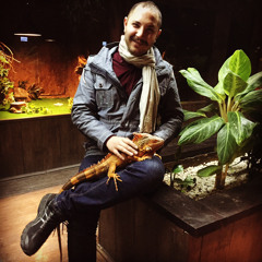 alireza nezari