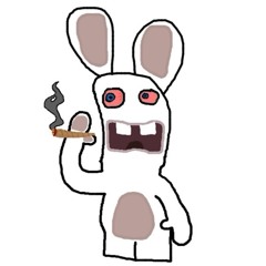 Rabbid