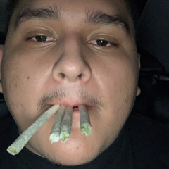 zootedcris