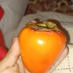 follow the other jon spinner account is closeing