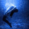 Soulwave Resonance*