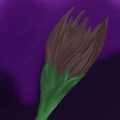 Darkmoon Shadow