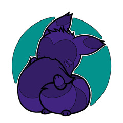 Drako the cat