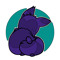 Drako the cat