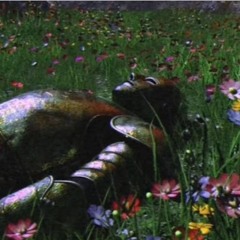 nonlikeshawn archive