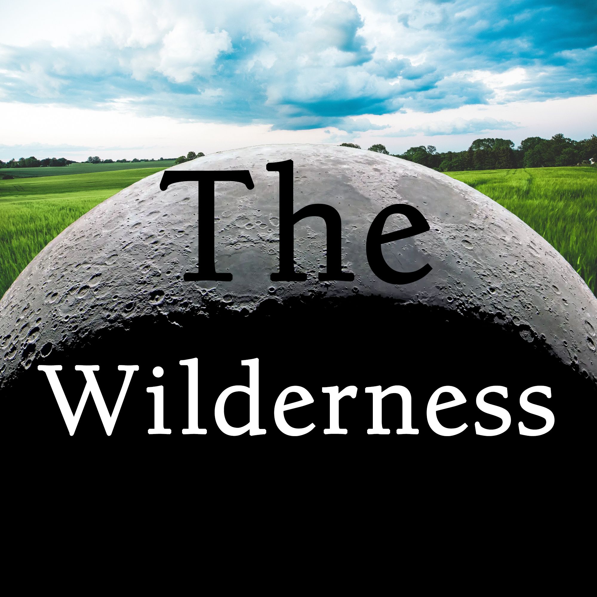 The Wilderness