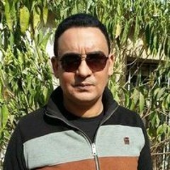 Sayed Elsayed
