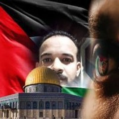 رضا عبد العال