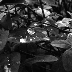 Break what can be broken