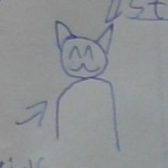Sammy The dogcat