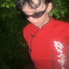 DJWika1337
