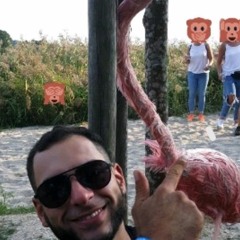 Emre Erel