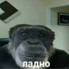 Nalek