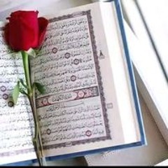 ندي وهبه وعلي الجزار