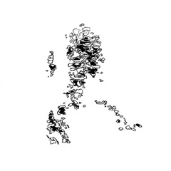 adcvt