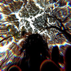 FØX A.K.A ÆLCHIMIÆ ÏNNATÆS