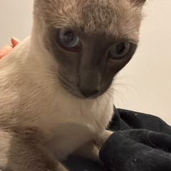 sofiag83