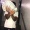 Bookiee Flex