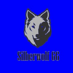 Silberwolf 66