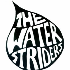 The WaterStriders