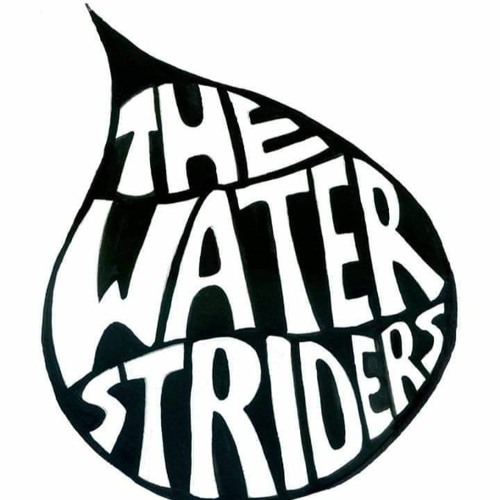 The WaterStriders’s avatar