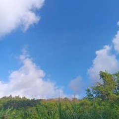 Tongom Eii