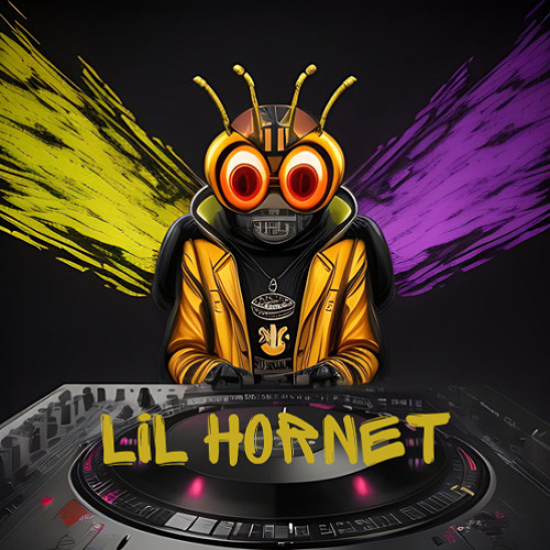 DJ LIL HORNET’s avatar